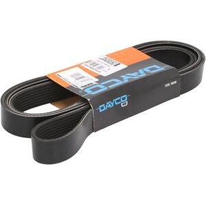 Dayco 8PK2550HD V-hihna - Kuorma-autot Dayco 8PK2550HD V-hihna - Kuorma-autot