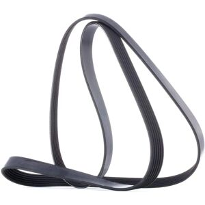 Correa trapezoidal Dayco 6PK1620 para Honda, Opel, Isuzu, Astra, Civic Correa trapezoidal Dayco 6PK1620 para Honda, Opel, Isuzu, Astra, Civic
