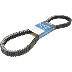 DAYCO XTX1006 Cinghia di trasmissione CVT - V-belt DAYCO XTX1006 Cinghia di trasmissione CVT - V-belt