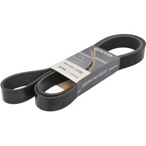 DAYCO DAY10PK2480HD V-hihna DAYCO DAY10PK2480HD V-hihna