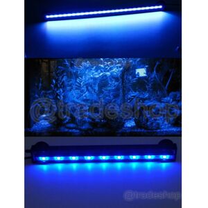 Trade Shop Dee-02 Lampada LED per acquario - Blu Trade Shop Dee-02 Lampada LED per acquario - Blu