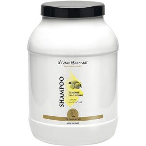IV SAN BERNARD Shampoo Citron - Shampoo - Publicité IV SAN BERNARD Shampoo Citron - Shampoo - Publicité