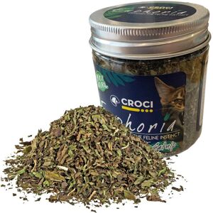 Croci Euphoria Catnip 25g – Natuurlijk kattenspeelgoed voor ontspanning Croci Euphoria Catnip 25g – Natuurlijk kattenspeelgoed voor ontspanning