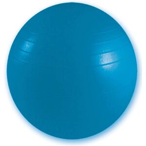 GIMA 47104 Ballon d'exercice - 75cm Bleu - Taille normale - Publicité GIMA 47104 Ballon d'exercice - 75cm Bleu - Taille normale - Publicité
