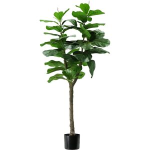 KING HOME Ficus Lyrata - 130cm, 60 foglie, vaso e muschio KING HOME Ficus Lyrata - 130cm, 60 foglie, vaso e muschio