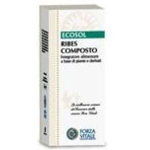 Forza Vitale Ecosol Ribes Composto 50 ml - Respiratory Support Forza Vitale Ecosol Ribes Composto 50 ml - Respiratory Support