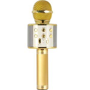 Microphone Xtreme avec haut-parleur intégré - Karaoké - Publicité Microphone Xtreme avec haut-parleur intégré - Karaoké - Publicité