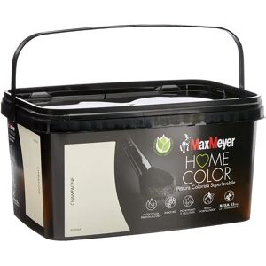 MaxMeyer Champagne Pittura Superlavabile - Pittura MaxMeyer Champagne Pittura Superlavabile - Pittura