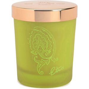 Etro Dafne Candle - Citrus Fragrance 170g Etro Dafne Candle - Citrus Fragrance 170g
