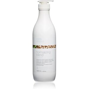 Milk Shake MilkShake Normalizing Blend Shampoo - Hair Care Milk Shake MilkShake Normalizing Blend Shampoo - Hair Care