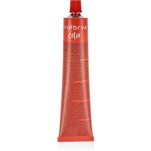 Inebrya Dunkle Schokolade Haarfarbe - Haartyp Inebrya Dunkle Schokolade Haarfarbe - Haartyp