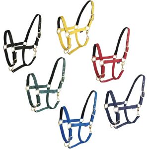 Équipement équestre Daslö - Nylon double couche - Doublure en nubuck - Réglage double - Ferrures en laiton - Publicité Équipement équestre Daslö - Nylon double couche - Doublure en nubuck - Réglage double - Ferrures en laiton - Publicité