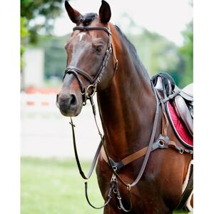 Collier de chasse pour chevaux avec martingale TATTINI - Horse Hunting Collar - Publicité Collier de chasse pour chevaux avec martingale TATTINI - Horse Hunting Collar - Publicité