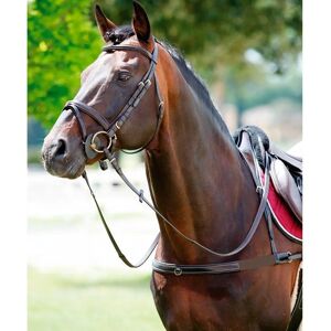 Collier de cheval élastique avec col montant amovible TATTINI - Publicité Collier de cheval élastique avec col montant amovible TATTINI - Publicité
