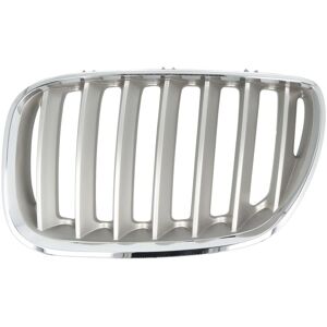 BMW X5 Titan Links Seite Kühlergrill - Kühlergrill BMW X5 Titan Links Seite Kühlergrill - Kühlergrill