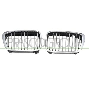 Griglia radiatore anteriore sinistra cromata BMW Serie 3 - Griglia radiatore Griglia radiatore anteriore sinistra cromata BMW Serie 3 - Griglia radiatore