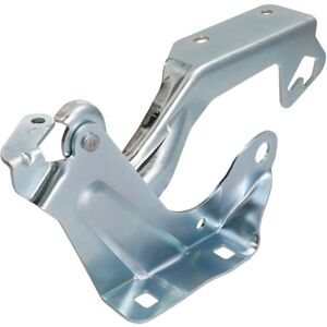 Cerniere BLIC 6802-00-1609452P - Nissan Micra 4 Cerniere BLIC 6802-00-1609452P - Nissan Micra 4