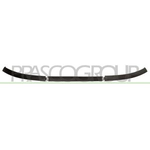 PRASCO Paragolpes Delantero para Citroën C3 I PRASCO Paragolpes Delantero para Citroën C3 I