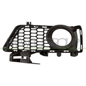 PRASCO BM0292134 BMW Serie 3 Rejilla de Ventilación Izquierda - Rejilla de Parachoques PRASCO BM0292134 BMW Serie 3 Rejilla de Ventilación Izquierda - Rejilla de Parachoques