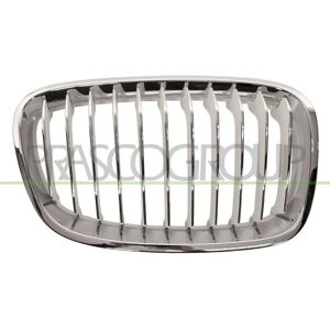 BMW Krom oikea etuputken ritilä - Radiator grill BMW 1/3 ovea BMW Krom oikea etuputken ritilä - Radiator grill BMW 1/3 ovea