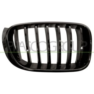 BLIC Radiator grille - Varaosa ajoneuvon korjaamiseen BLIC Radiator grille - Varaosa ajoneuvon korjaamiseen