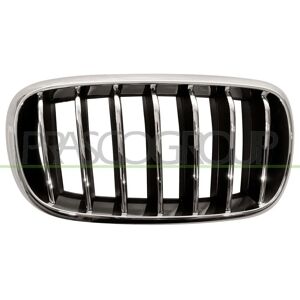 BLIC 6502-07-00969944P Kromi/musta BMW X5 X6 Radiator Grill BLIC 6502-07-00969944P Kromi/musta BMW X5 X6 Radiator Grill