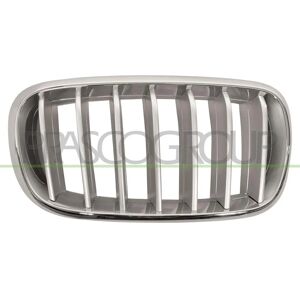 Calandre de radiateur BMW X5 X6 - Pièce de remplacement pour véhicule complexe - Publicité Calandre de radiateur BMW X5 X6 - Pièce de remplacement pour véhicule complexe - Publicité