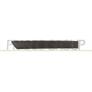 PRASCO Protector de Puerta para Ford Fiesta 5 - Moldura de Borde PRASCO Protector de Puerta para Ford Fiesta 5 - Moldura de Borde