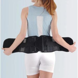 F.G.P. Srl Pro Action Corsetto Lombare - Semirigido, 23cm F.G.P. Srl Pro Action Corsetto Lombare - Semirigido, 23cm