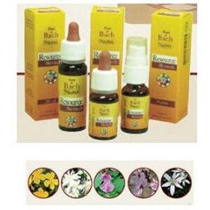 Guna Resource Remedy - Fiori di Bach - Spray 10ml Guna Resource Remedy - Fiori di Bach - Spray 10ml