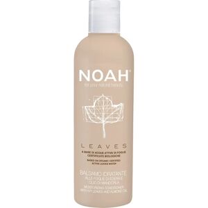 Noah Model 250ml - Hydrating Conditioner for All Hair Types Noah Model 250ml - Hydrating Conditioner for All Hair Types