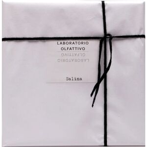 Laboratorio Olfattivo Salina Eau De Parfum Spray 100ml Laboratorio Olfattivo Salina Eau De Parfum Spray 100ml
