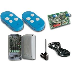 Came Modèle 8K06RV-002 Kit Radio Double Fréquence - Sécurité Came Modèle 8K06RV-002 Kit Radio Double Fréquence - Sécurité