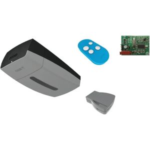 Kit Automazione Came ver 10 plus - Porte Garage - Fino a 18m2 Kit Automazione Came ver 10 plus - Porte Garage - Fino a 18m2