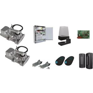 Came Kit Frog-x 8k01mi-007 - Unterflurlösung für Doppel-Flügeltore Came Kit Frog-x 8k01mi-007 - Unterflurlösung für Doppel-Flügeltore