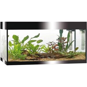 Askoll Pure L Czarny LED Akwarion - Zestaw Kompletny Askoll Pure L Czarny LED Akwarion - Zestaw Kompletny