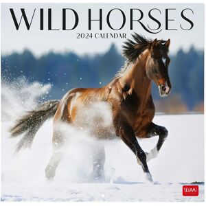 Legami WILD HORSES 2024 Wall Calendar - Calendar Legami WILD HORSES 2024 Wall Calendar - Calendar