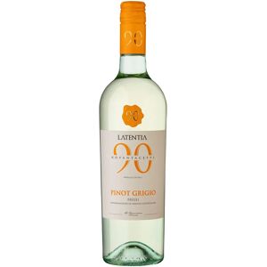 Novantaceppi Pinot Grigio Friuli DOC 2023 - White Wine from Italy Novantaceppi Pinot Grigio Friuli DOC 2023 - White Wine from Italy