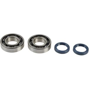 Kit riparazione albero motore Athena Kawasaki KX 250 F - Cuscinetti & Guarnizioni Kit riparazione albero motore Athena Kawasaki KX 250 F - Cuscinetti & Guarnizioni