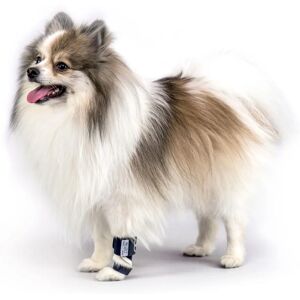 Amicafarmacia Balto BT Attelle de Soutien - Support Orthopédique pour Chiens - Publicité Amicafarmacia Balto BT Attelle de Soutien - Support Orthopédique pour Chiens - Publicité