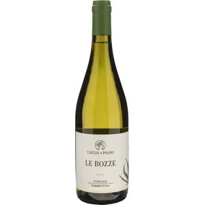 Berlucchi Caccia al Piano Grottaia Vermentino 2022 - White Wine Berlucchi Caccia al Piano Grottaia Vermentino 2022 - White Wine
