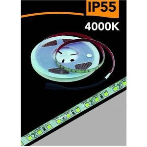 Trade Shop - 2835 5m 12V - IP55 - 4000K - LED Strip Trade Shop - 2835 5m 12V - IP55 - 4000K - LED Strip