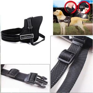 Set de Arnés para Perros Xs - Ajustable y Seguro Set de Arnés para Perros Xs - Ajustable y Seguro