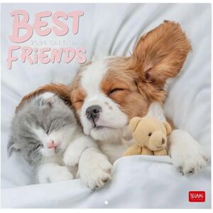 Legami 2026 Best Friends Photo Wall Calendar 30x29cm Legami 2026 Best Friends Photo Wall Calendar 30x29cm