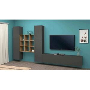 DMORA Dcarbon Mueble de Pared - Mueble de Salón Polivalente Italiano DMORA Dcarbon Mueble de Pared - Mueble de Salón Polivalente Italiano