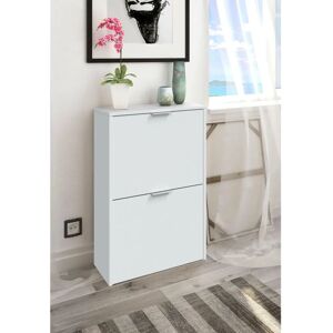 DMORA Zapatero Valdosta - Ahorra espacio, 2 puertas DMORA Zapatero Valdosta - Ahorra espacio, 2 puertas