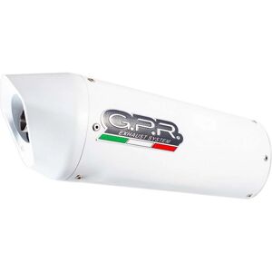 Gpr Albus Evo4 Xmf 125 - Homologated Muffler with Catalytic Converter Gpr Albus Evo4 Xmf 125 - Homologated Muffler with Catalytic Converter