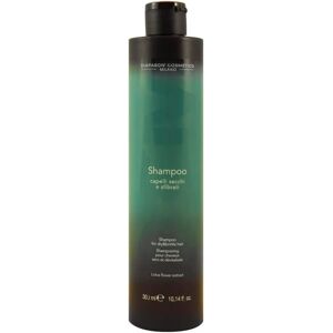 DCM Trocken & Brüchiges Haar Shampoo - Haarpflege DCM Trocken & Brüchiges Haar Shampoo - Haarpflege