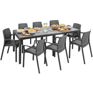 DMORA Conjunto de exterior - Manarola, 8 sillas, mesa rectangular DMORA Conjunto de exterior - Manarola, 8 sillas, mesa rectangular