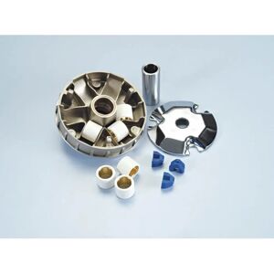 Polini Hi-Speed Variator für Aprilia SR 50 Di-Tech, Katana - Variomatik Polini Hi-Speed Variator für Aprilia SR 50 Di-Tech, Katana - Variomatik